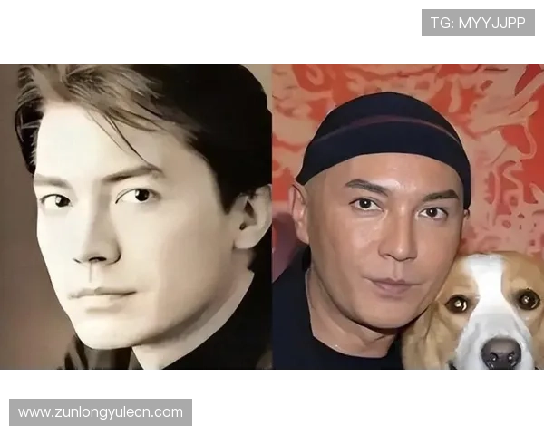 尊龙人生官方网站:详细介绍尊龙人生的产品类别与使用指南